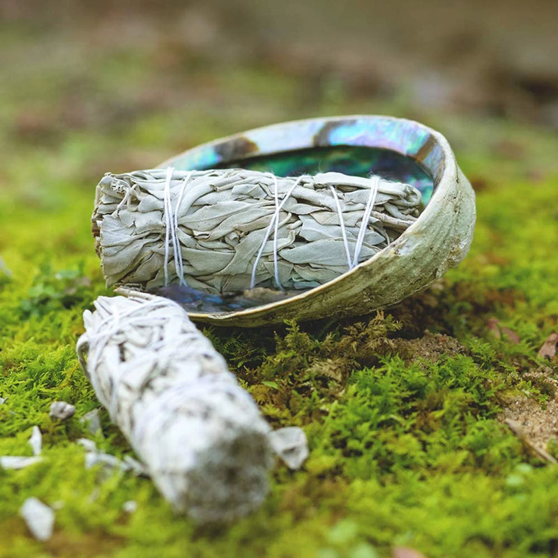 a metal bowl filled with something next to a piece of driftwood