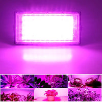 LED Grow Light Phyto Lamp AC 220V 50W LED Full Spectrum Floodlight Indoor Outdoor Greenhouse Plant Hydroponic Plant Spotlight 8