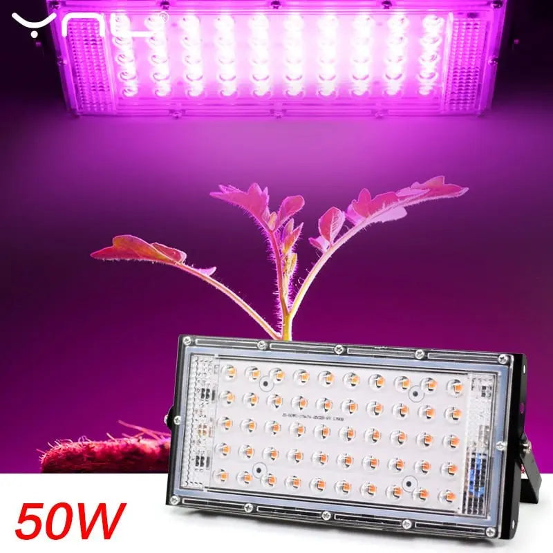 LED Grow Light Phyto Lamp AC 220V 50W LED Full Spectrum Floodlight Indoor Outdoor Greenhouse Plant Hydroponic Plant Spotlight 1