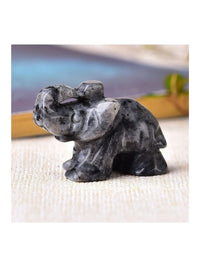 Rocks & Fossils Mystic Oasis Gifts